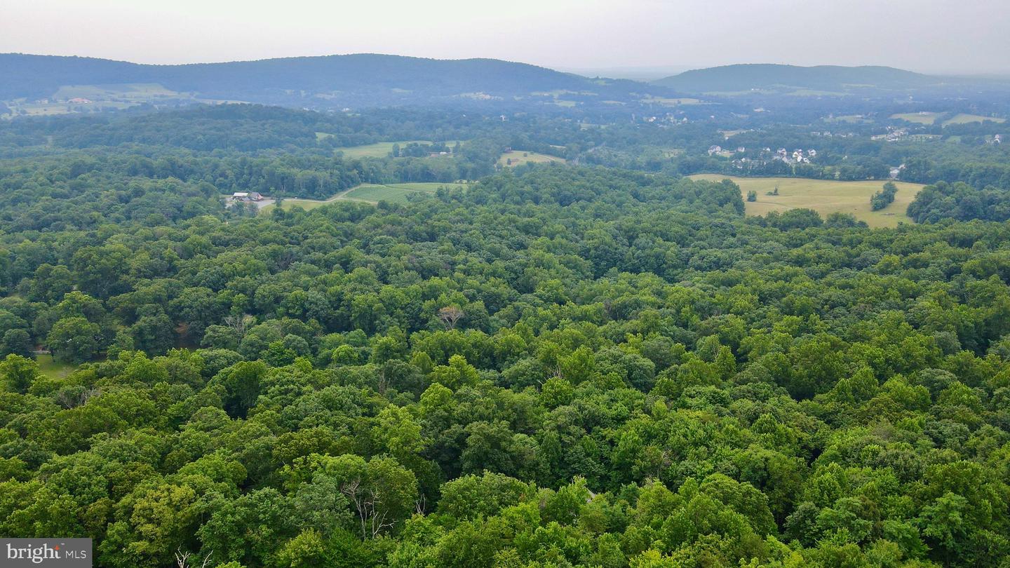 34971 Charles Town Pike Property Photo 53