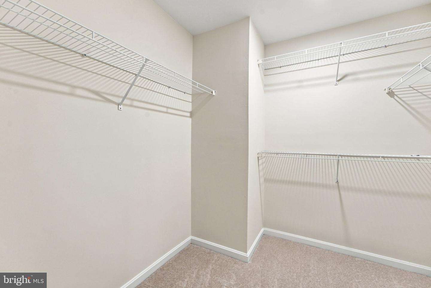45556 Lake Haven Ter Property Photo 23