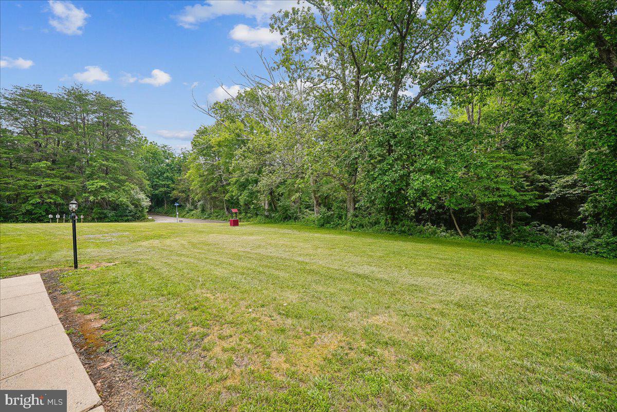 25501 Frosty Meadow Ln Property Photo 17