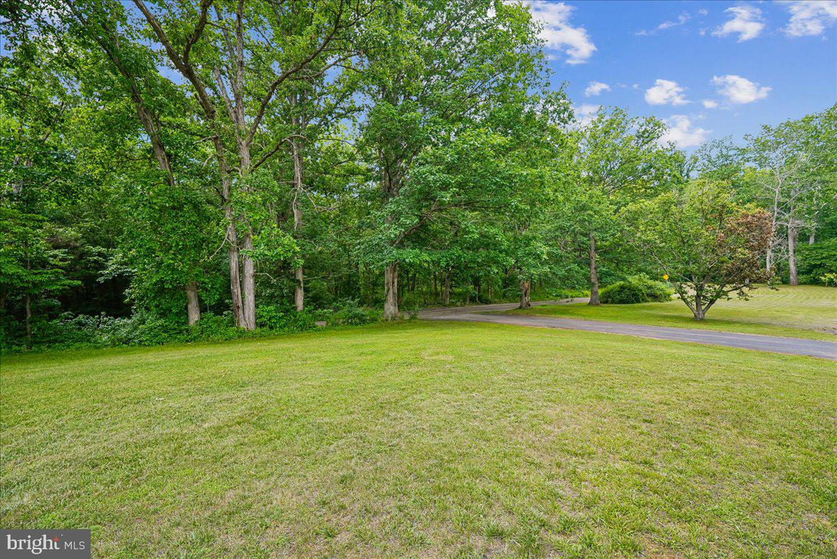 25501 Frosty Meadow Ln Property Photo 18