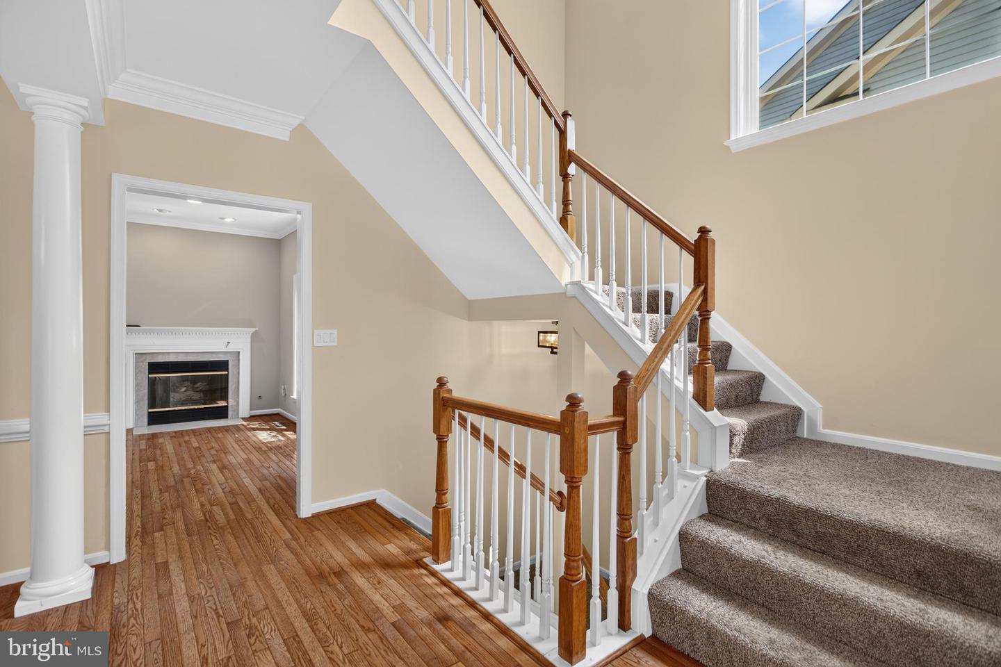 46678 Abigail Ter Property Photo 12