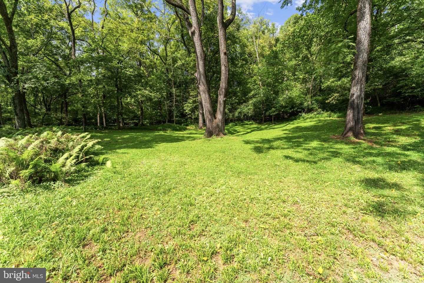 39902 Thomas Mill Rd Property Photo 98