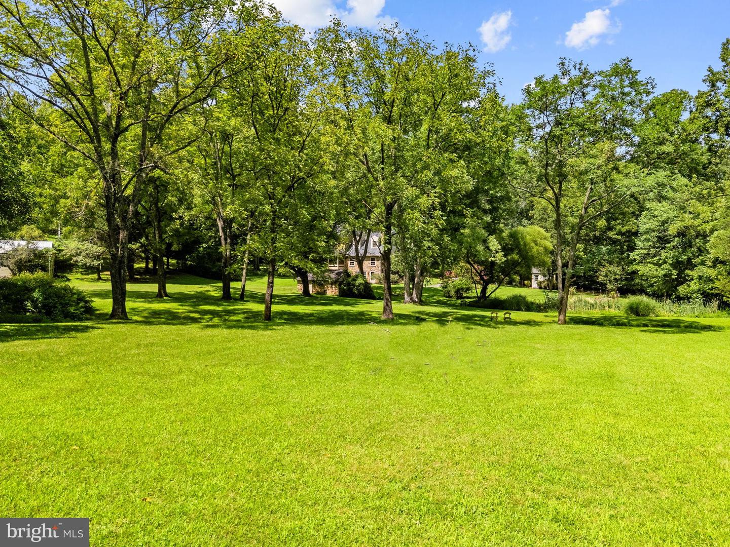 39902 Thomas Mill Rd Property Photo 114