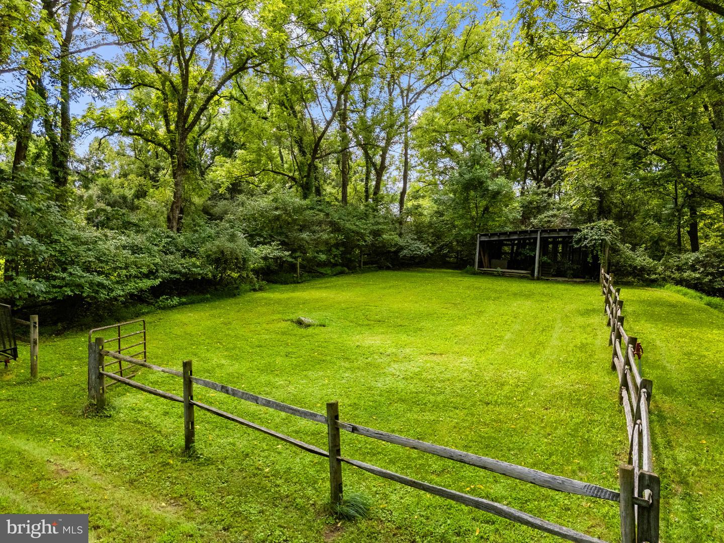 39902 Thomas Mill Rd Property Photo 115