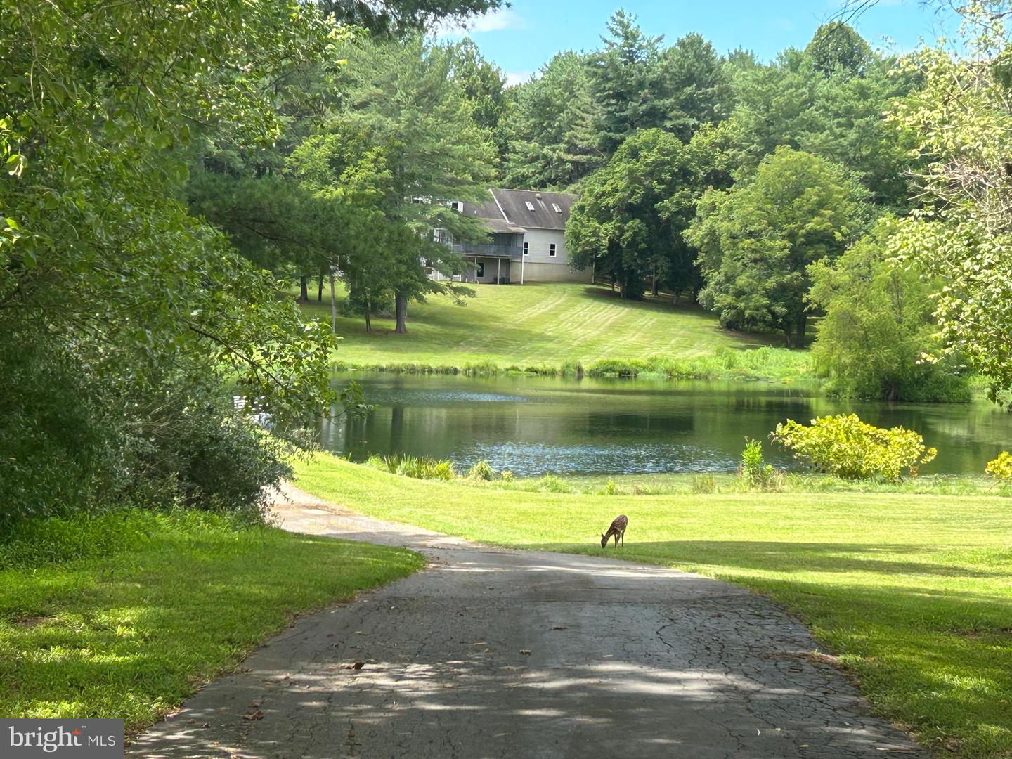 14205 Milltown Rd Property Photo 5