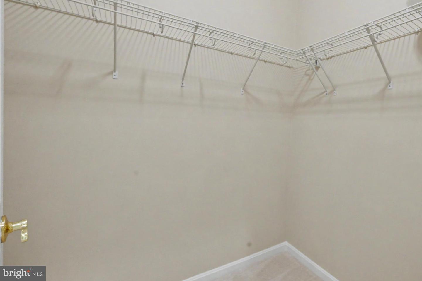 42047 Pepperbush Pl Property Photo 52