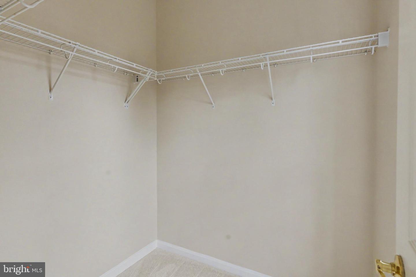 42047 Pepperbush Pl Property Photo 66