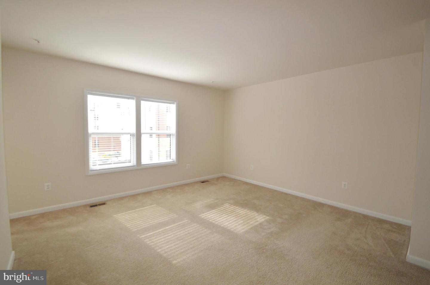 20508 Milbridge Ter Property Photo 20