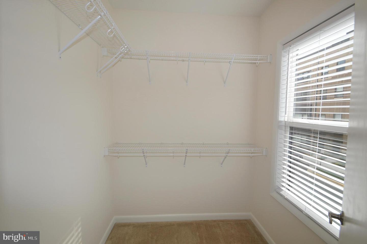 20508 Milbridge Ter Property Photo 23