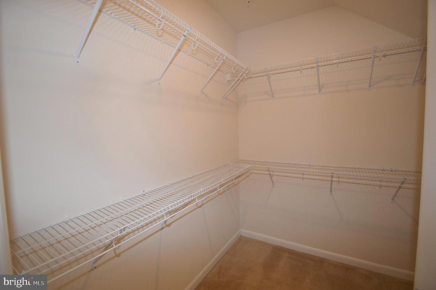 20508 Milbridge Ter Property Photo 24
