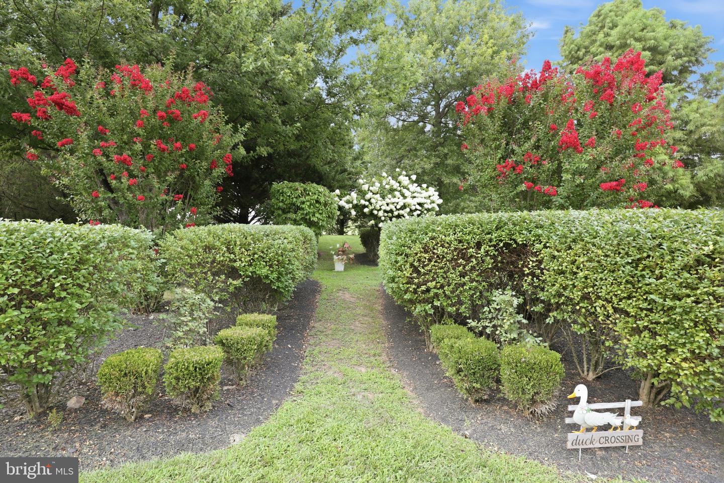 37849 Wright Farm Dr Property Photo 14