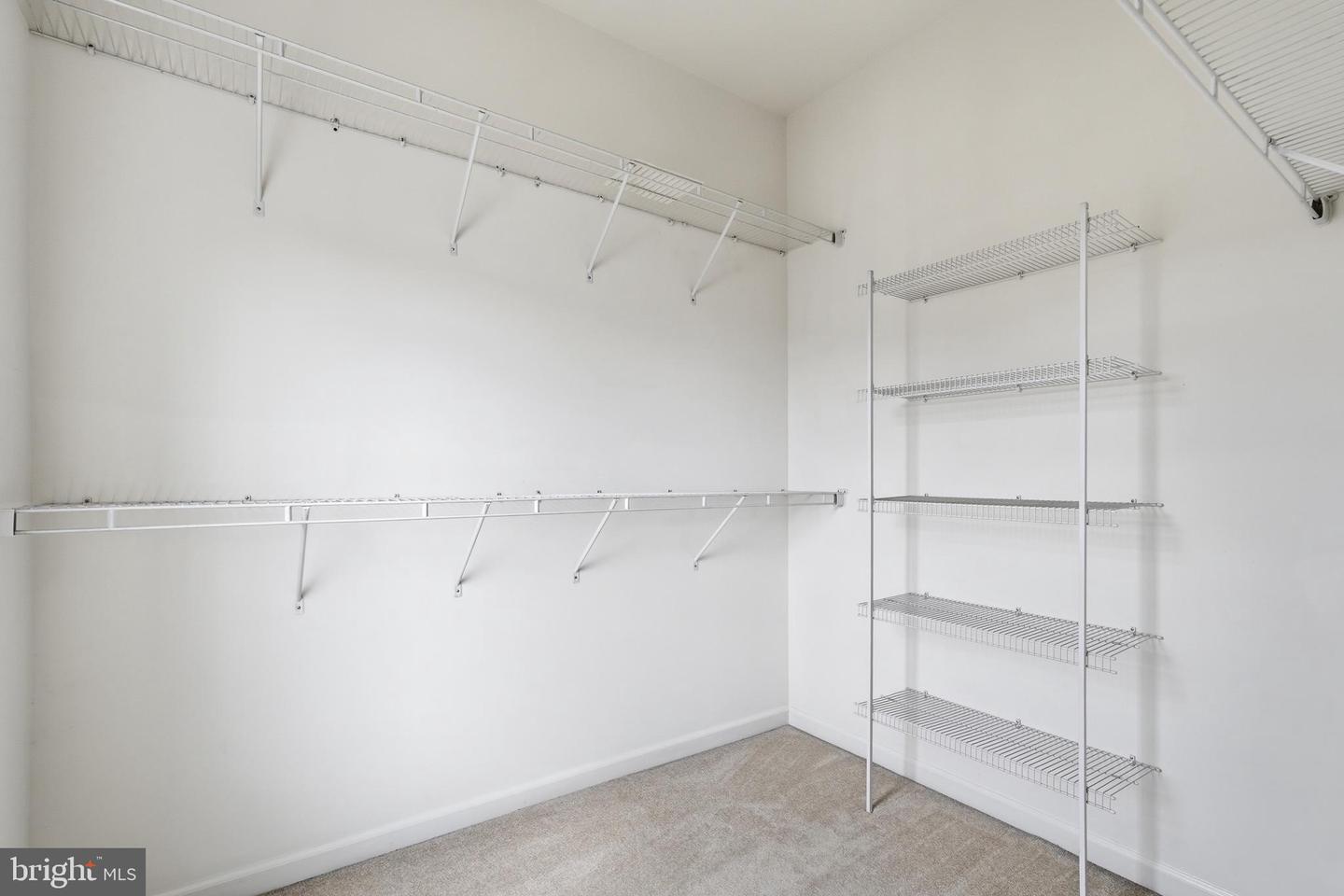 41806 Inspiration Ter Property Photo 27