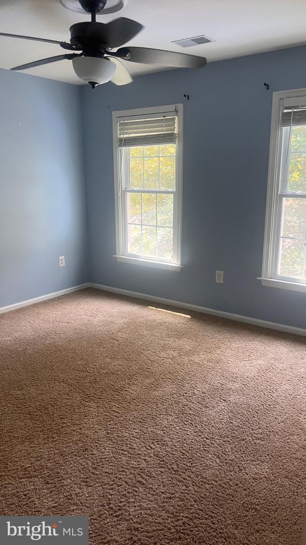 20409 Plainfield St Property Photo 15