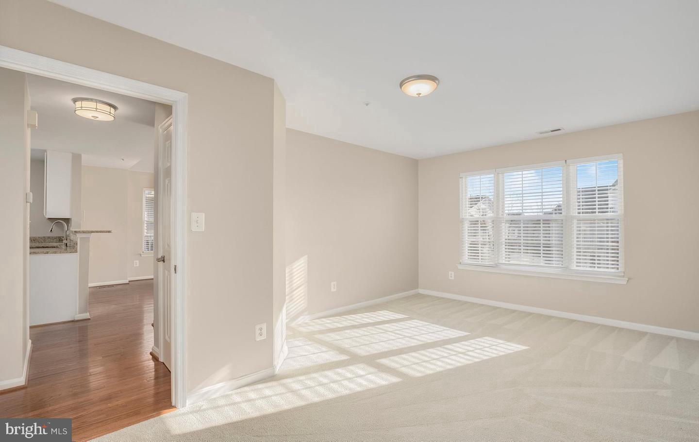 20433 Alderleaf Ter Property Photo 11