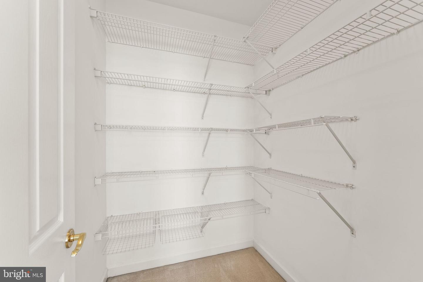 43728 Collett Mill Ct Property Photo 71