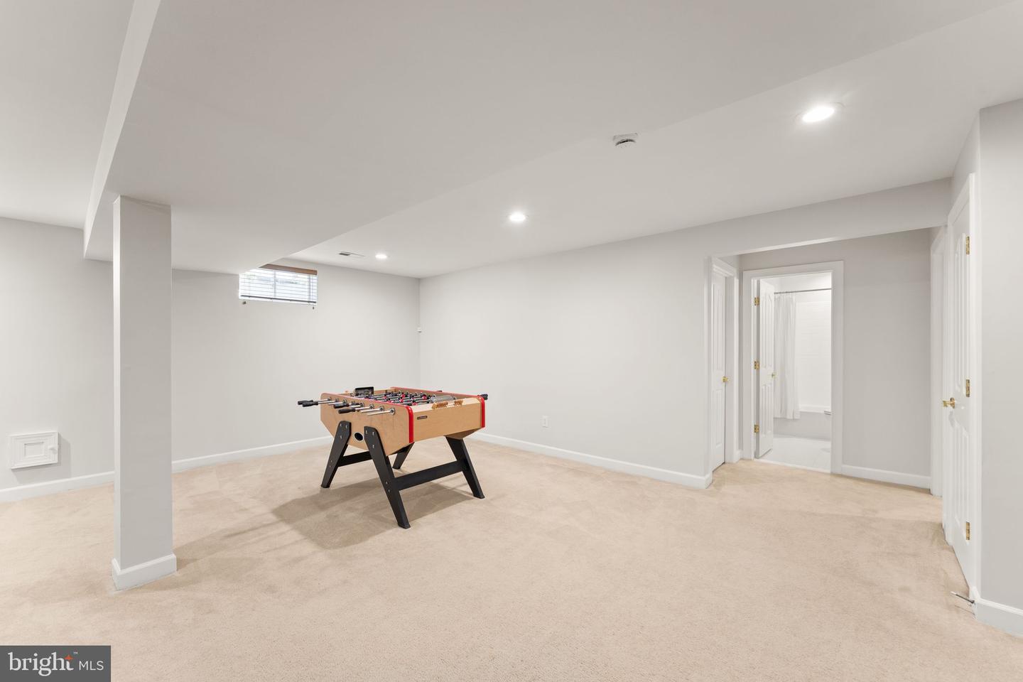 43728 Collett Mill Ct Property Photo 83
