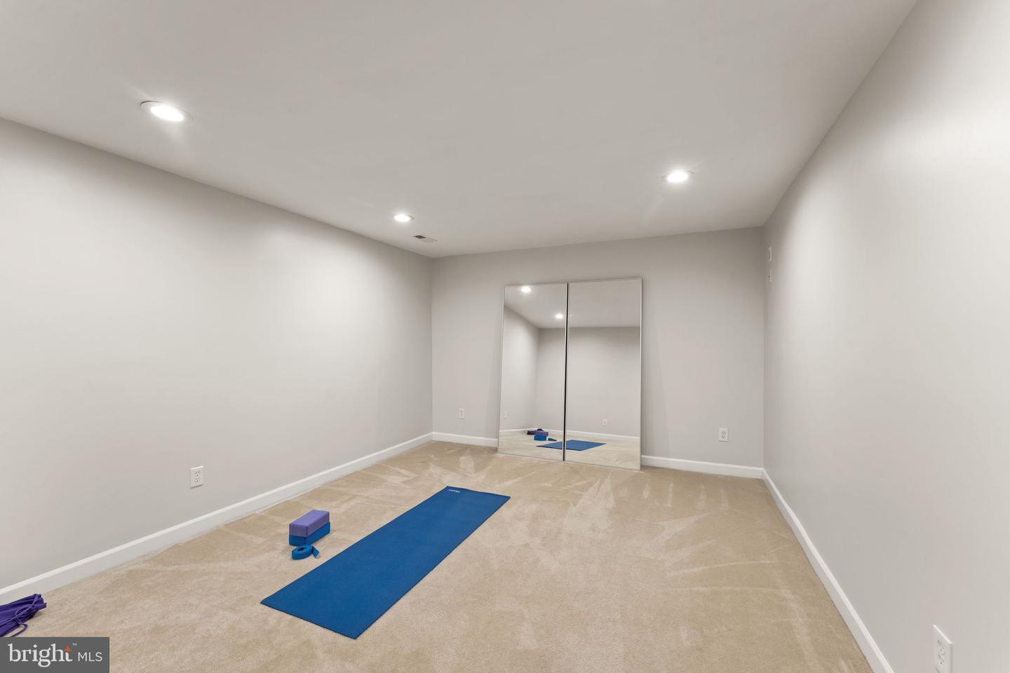43728 Collett Mill Ct Property Photo 91