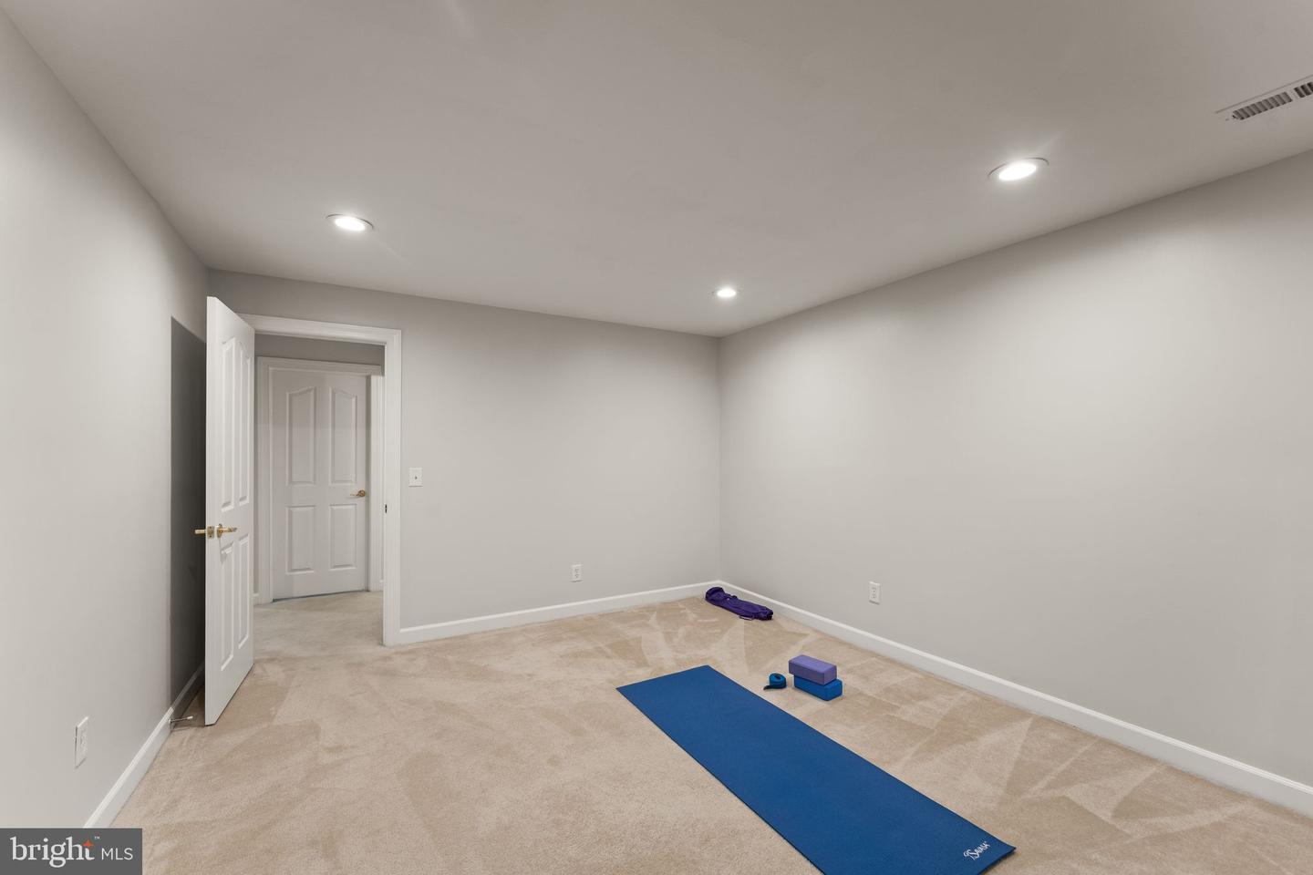 43728 Collett Mill Ct Property Photo 92