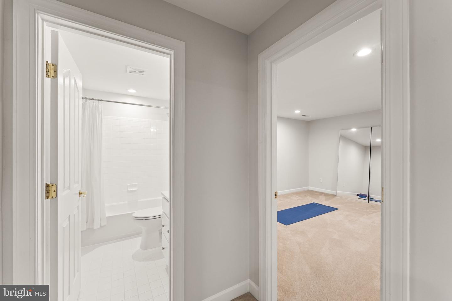 43728 Collett Mill Ct Property Photo 93