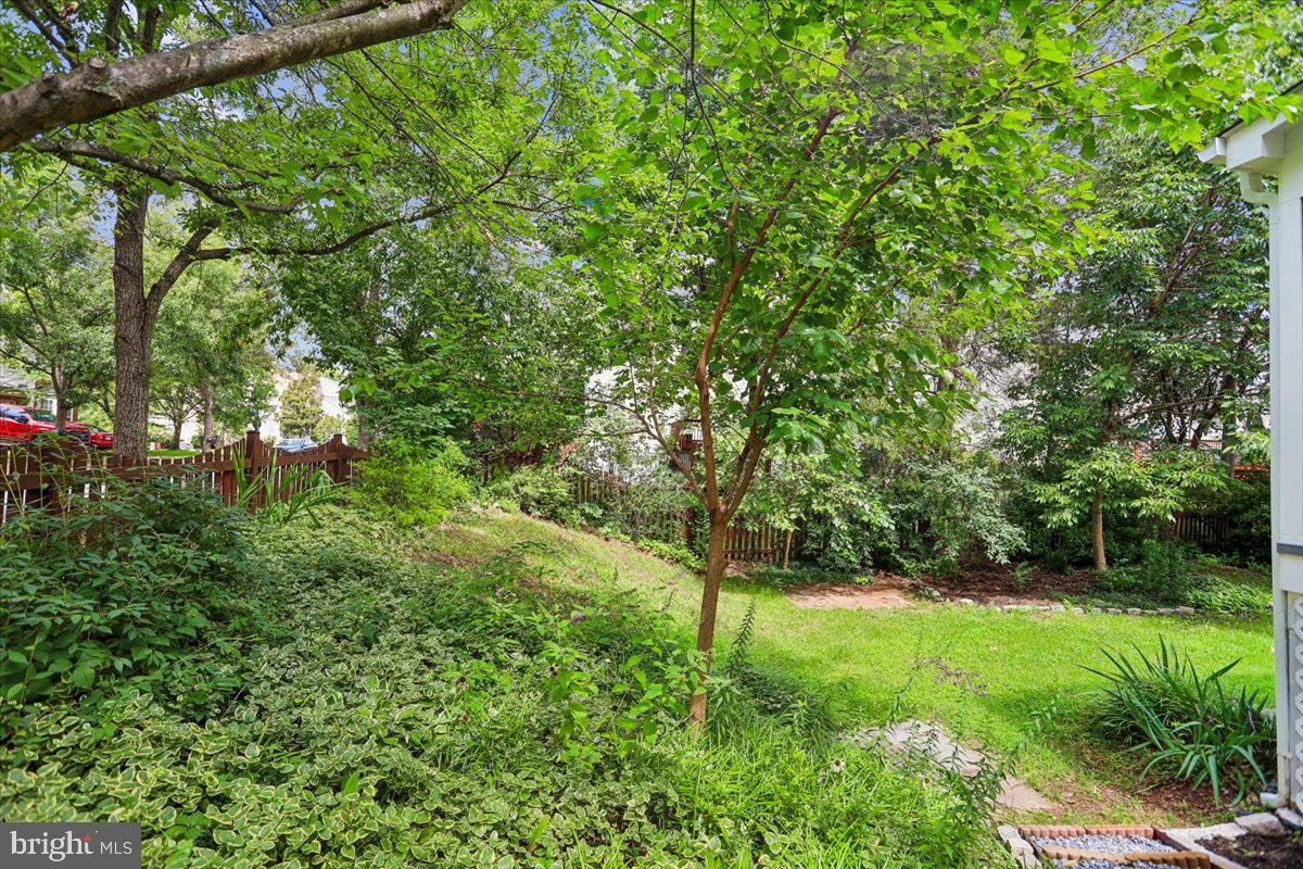 43436 Orson St Property Photo 49
