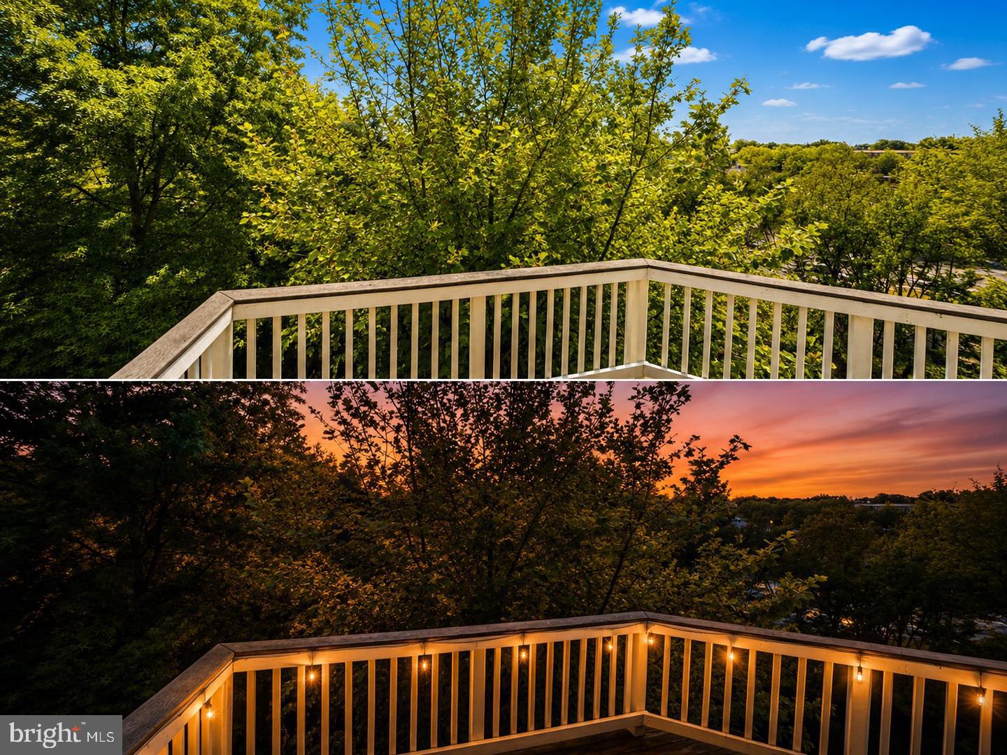 42371 Trellis Sq Property Photo 58