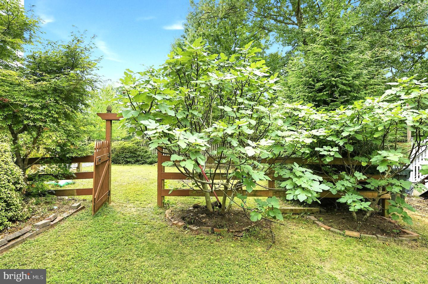 46495 Primula Ct Property Photo 40