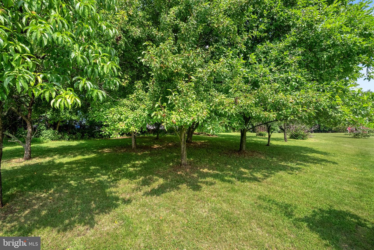 12179 Enfield Ln Property Photo 51
