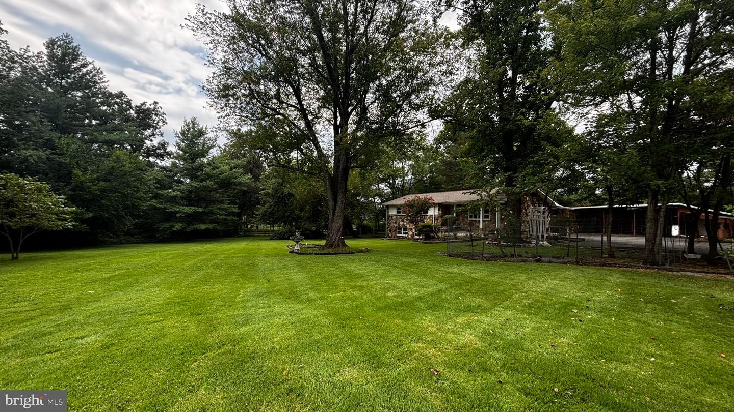 25339 Rainbow Ranch Ln Property Photo 3
