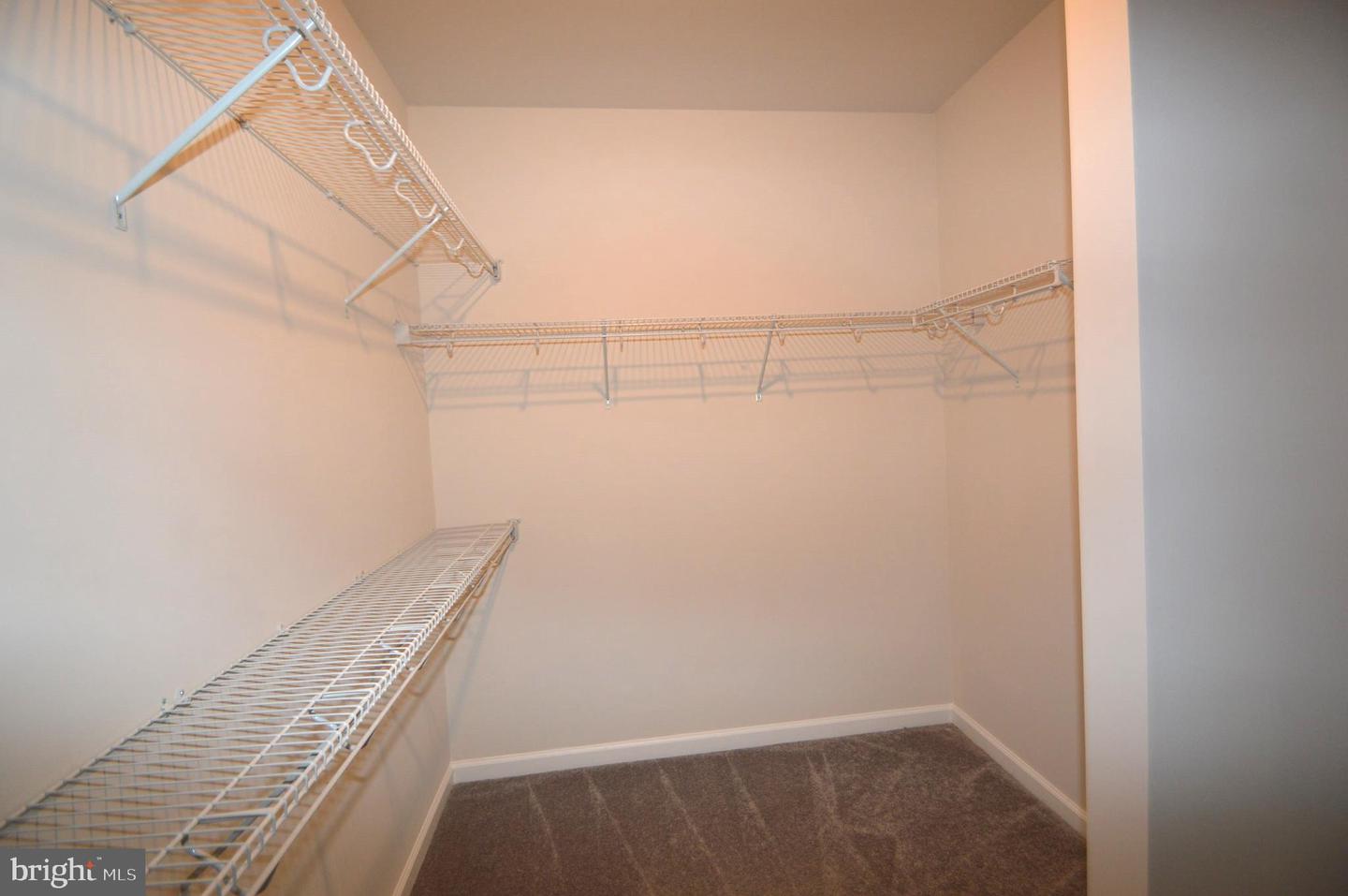 45091 Cappamore Ter Property Photo 28
