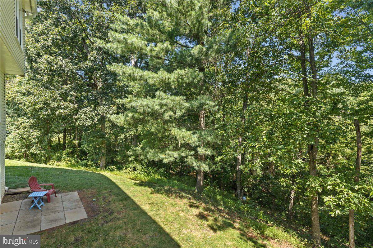 20612 Belwood Ct Property Photo 53