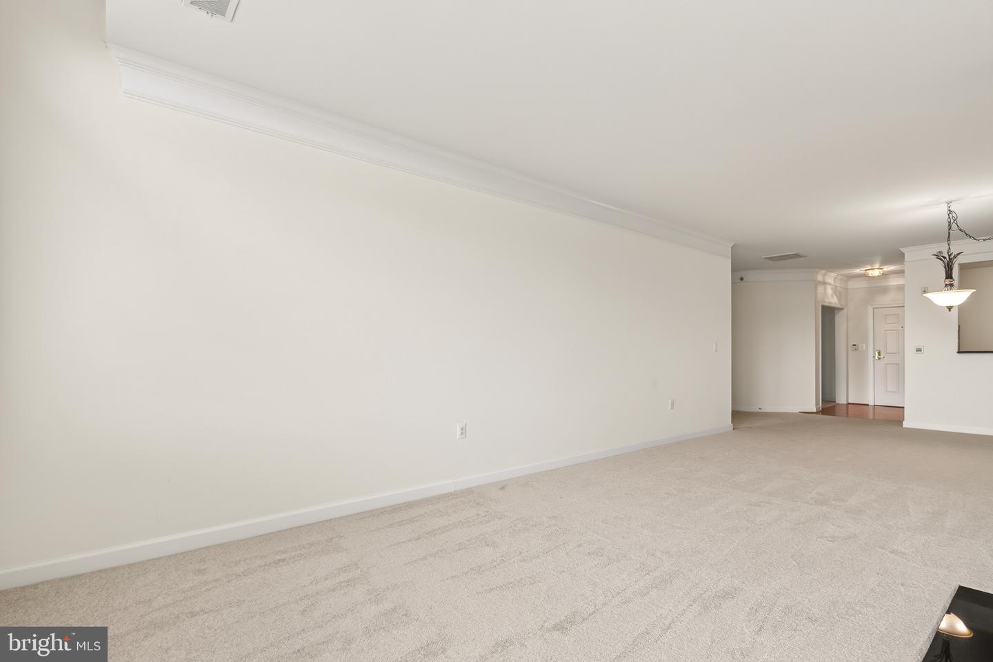 44485 Chamberlain Ter #303 Property Photo 19