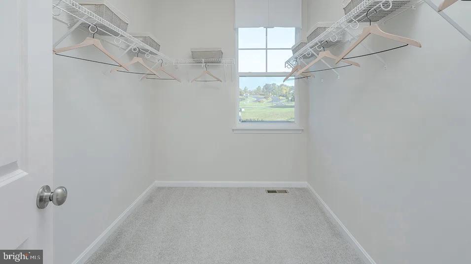 39549 Schoene Farm Pl Property Photo 12