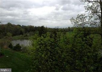 25240 Lake Shore Sq #301 Property Photo 11