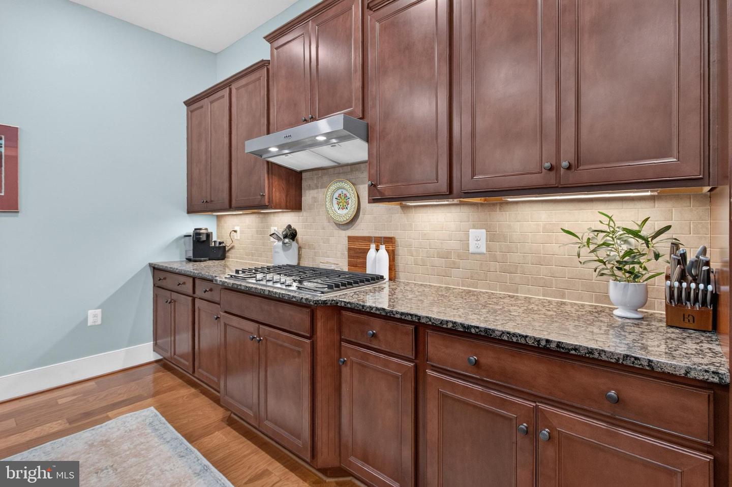 42808 Crane Meadows Sq Property Photo 9