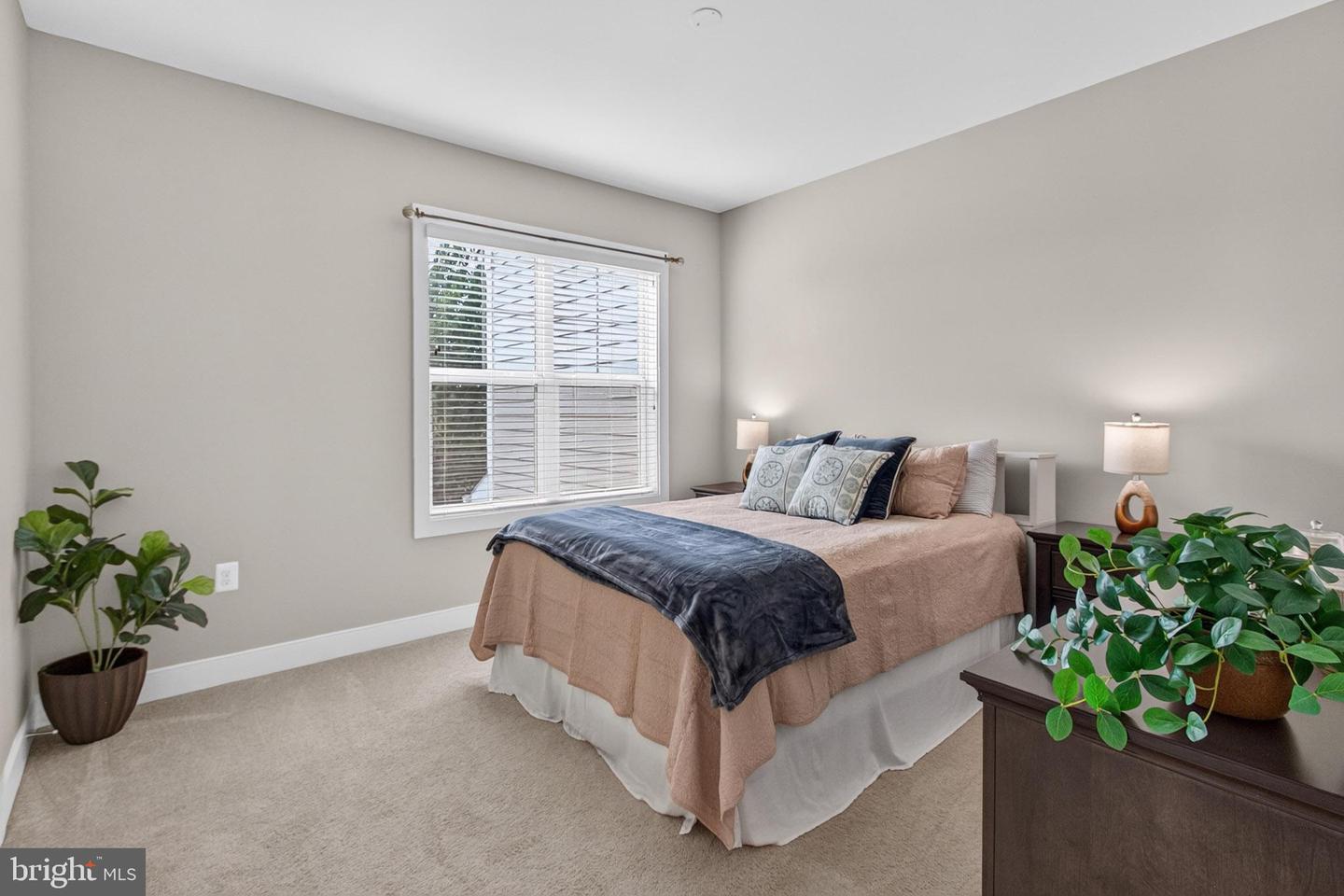 42808 Crane Meadows Sq Property Photo 19