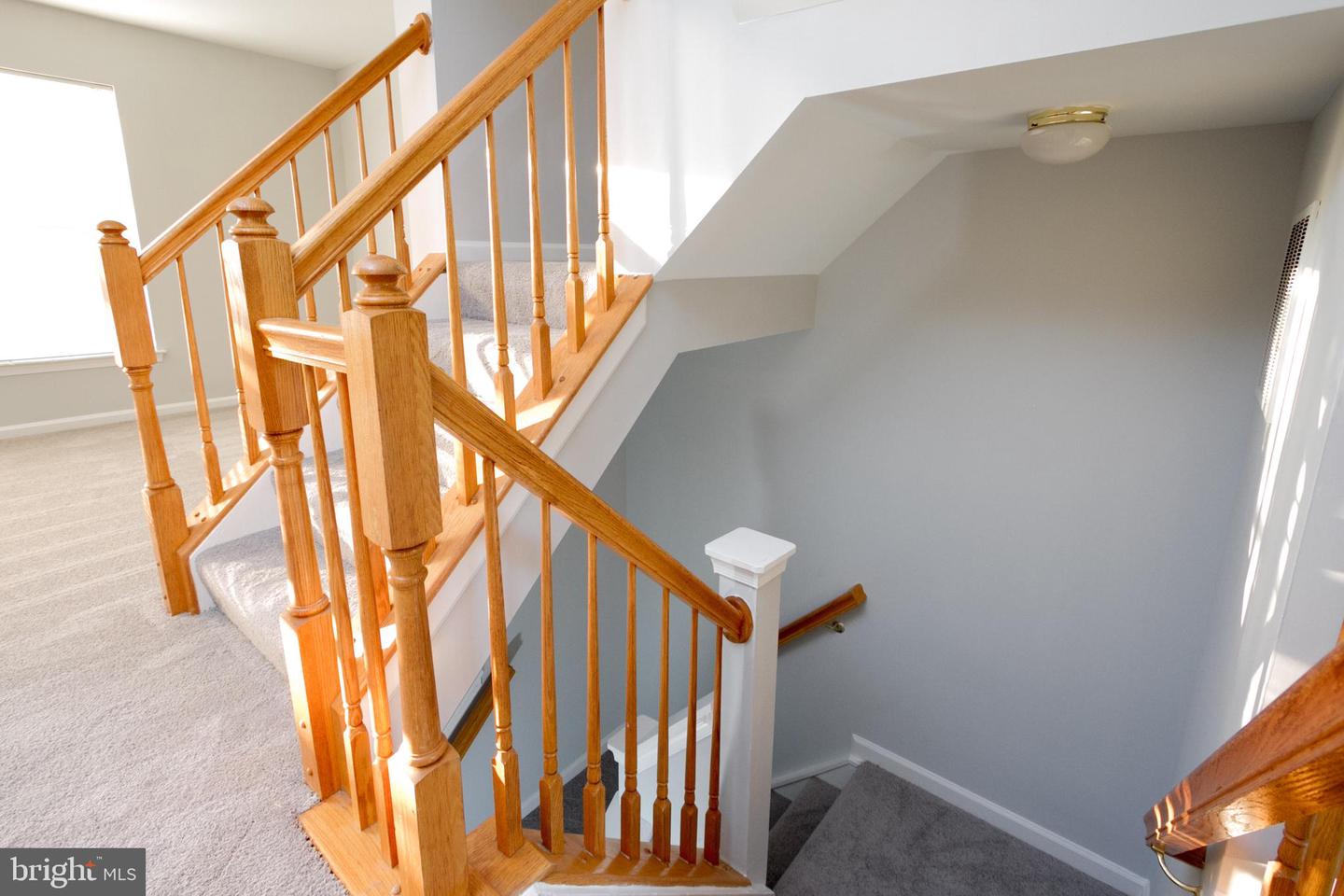44877 Grove Ter Property Photo 8