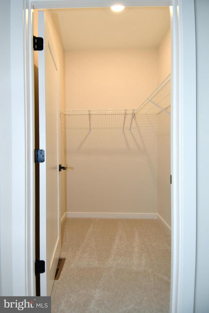 22799 Tawny Pine Property Photo 41
