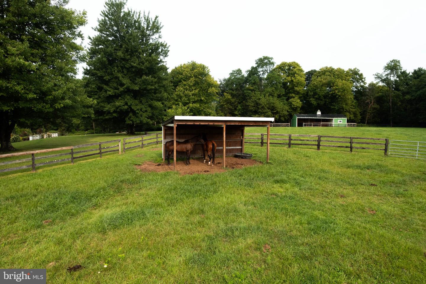 34994 Williams Gap Rd Property Photo 69
