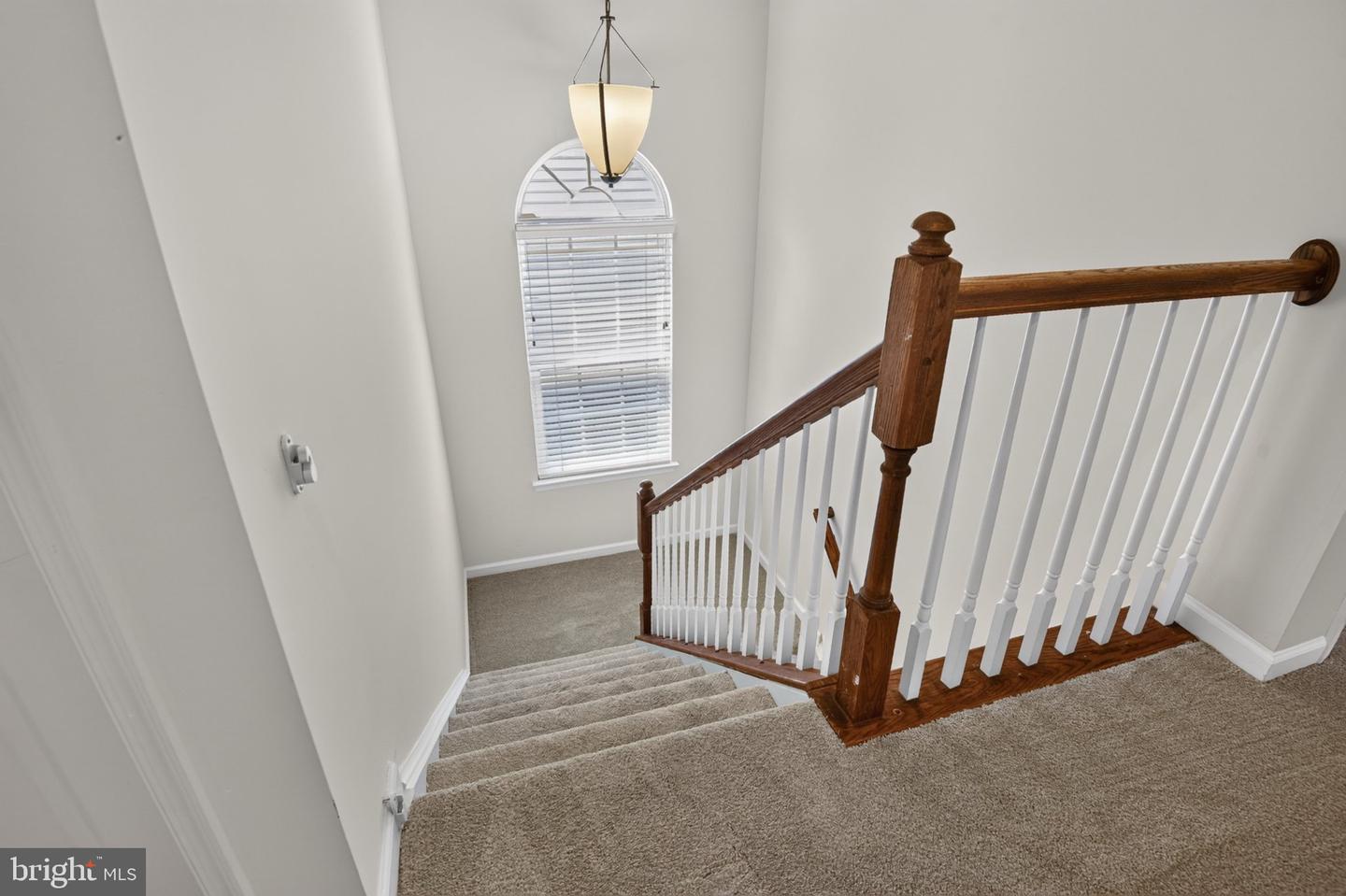 8 Wood Aster Ln Property Photo 22