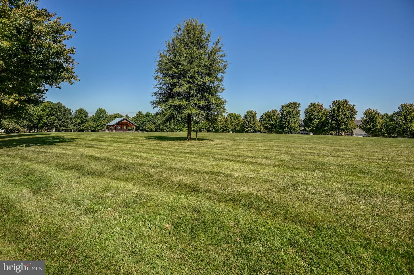 8 Wood Aster Ln Property Photo 46