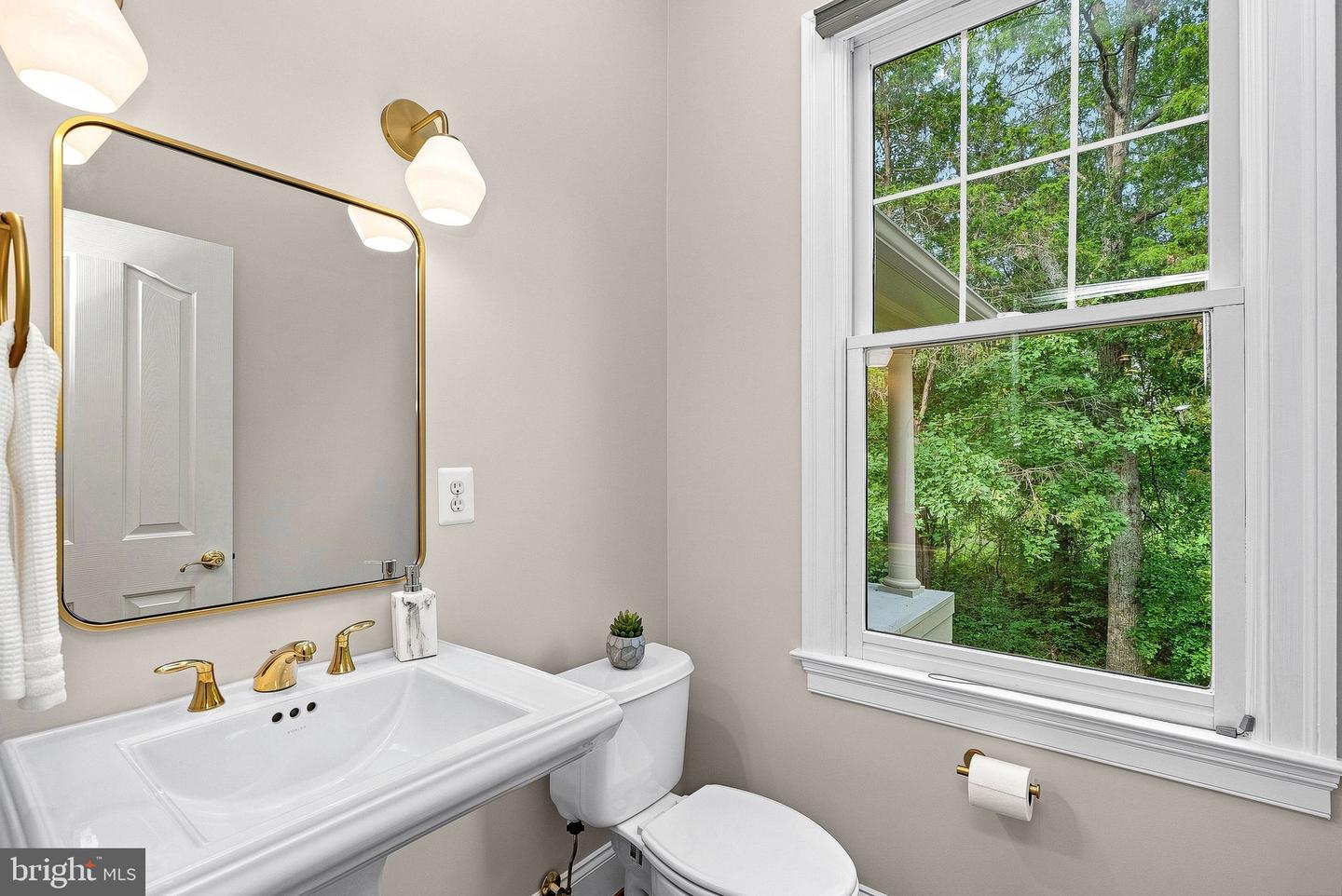 42618 Trappe Rock Ct Property Photo 36