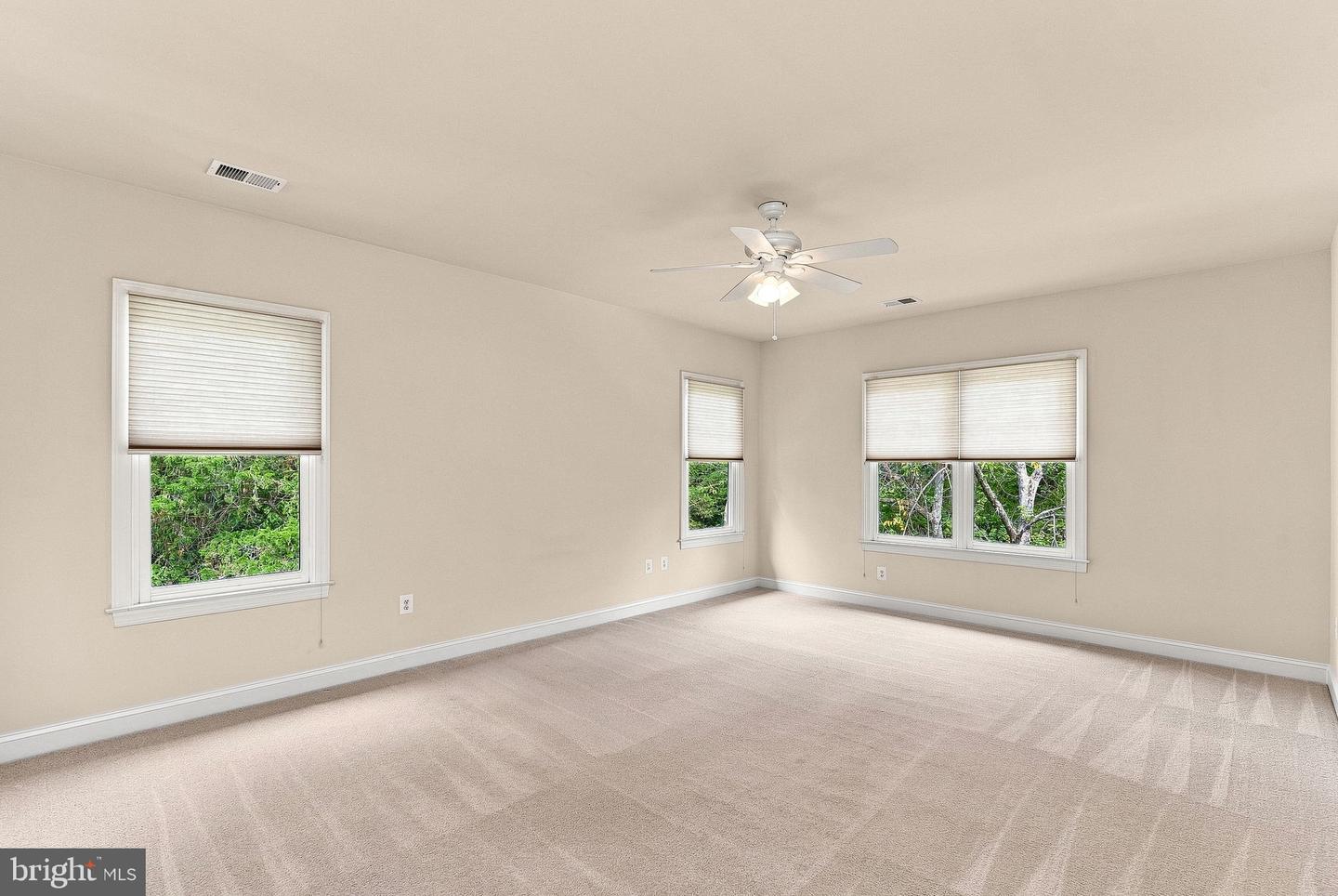 42618 Trappe Rock Ct Property Photo 60