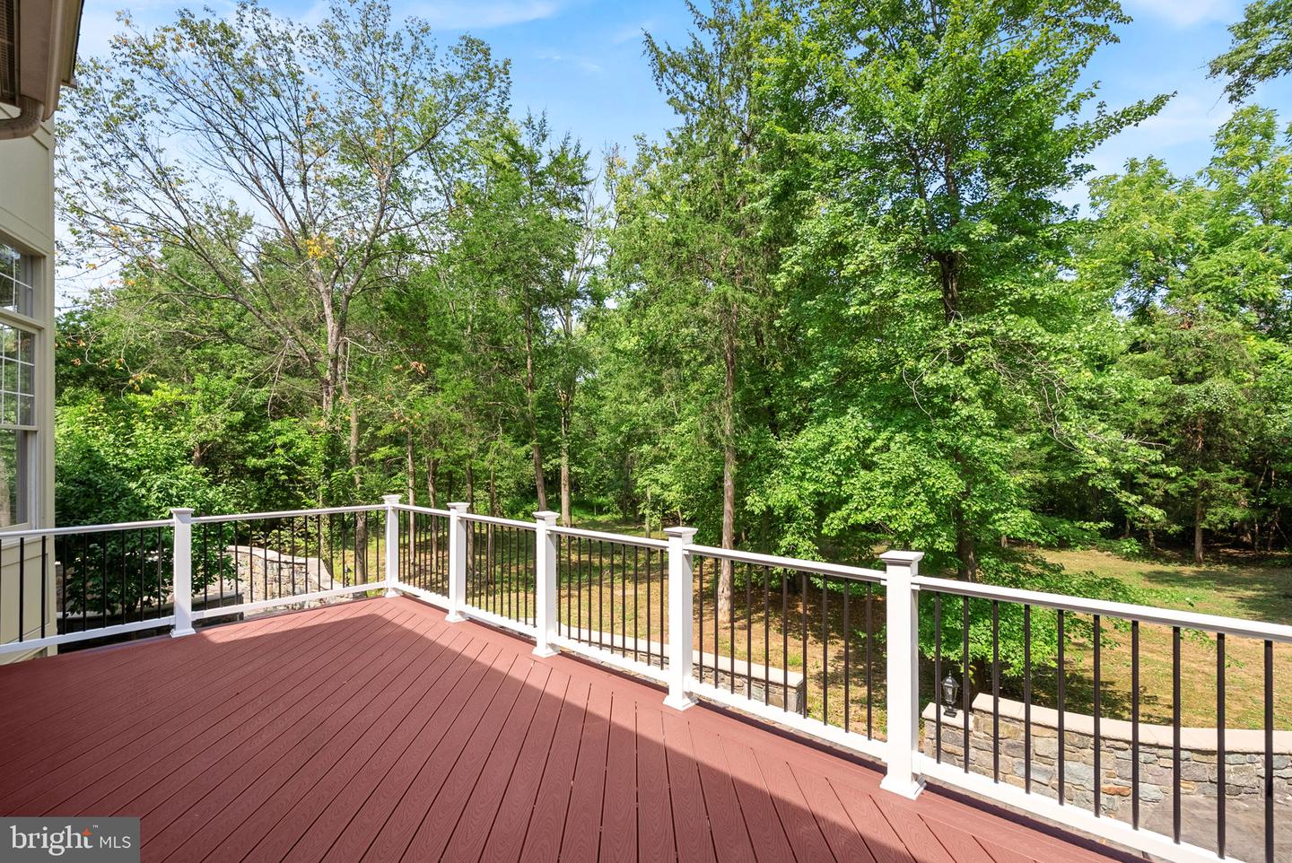 42618 Trappe Rock Ct Property Photo 81