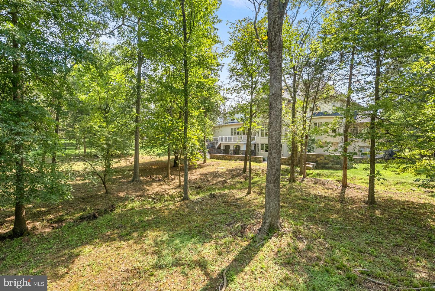 42618 Trappe Rock Ct Property Photo 91