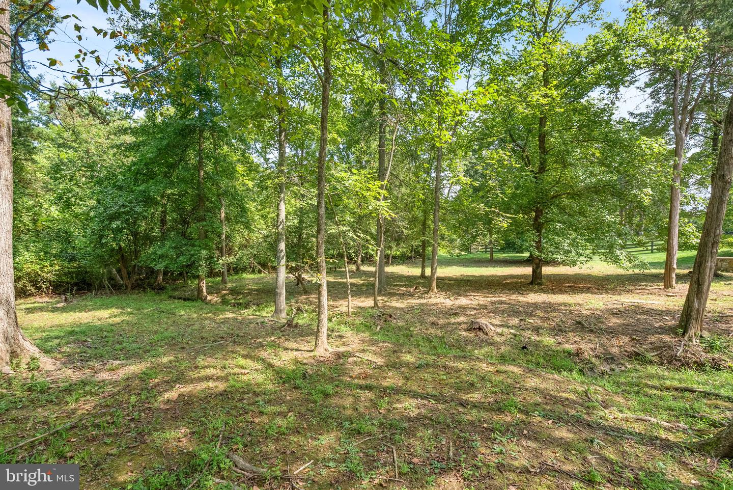 42618 Trappe Rock Ct Property Photo 93