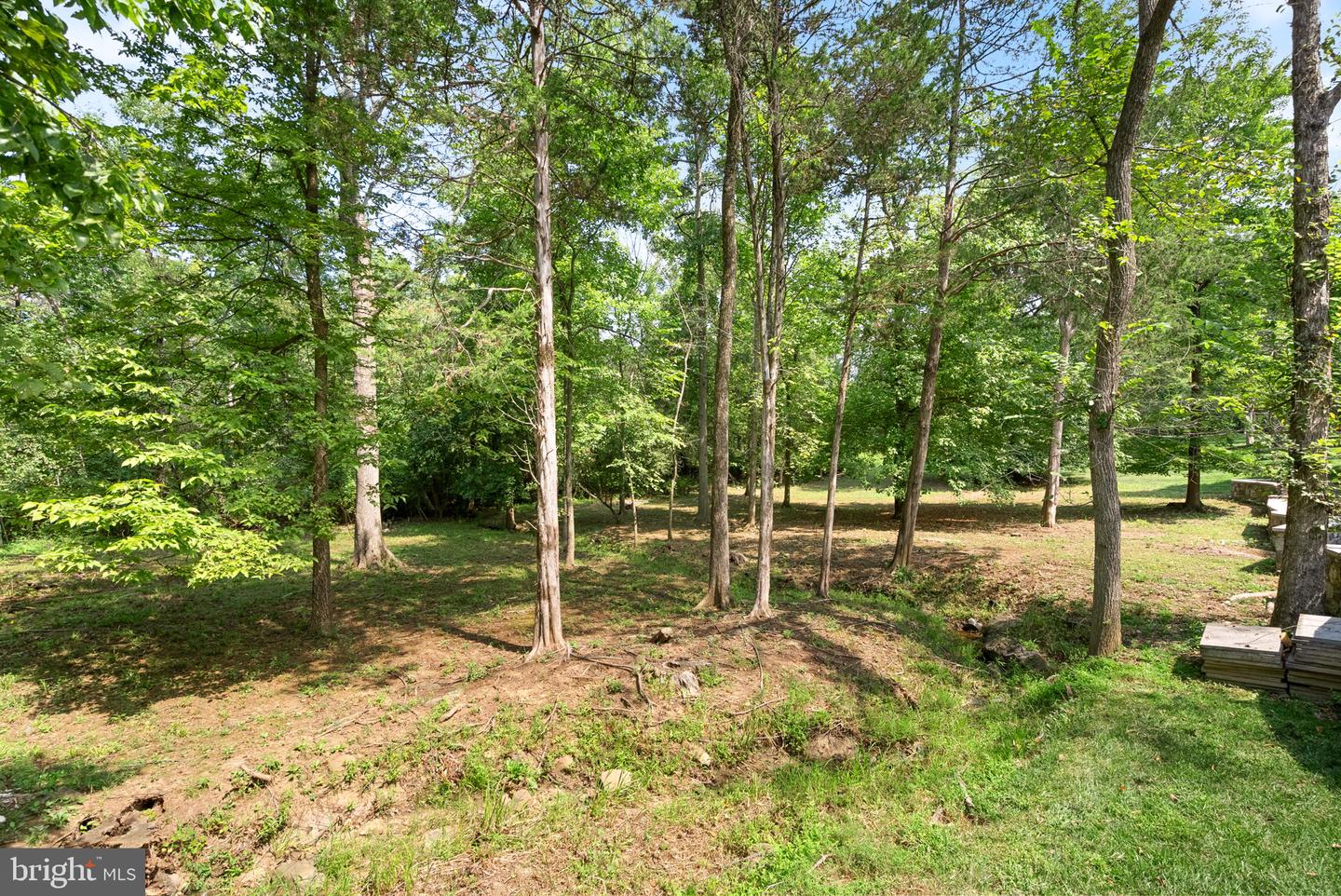 42618 Trappe Rock Ct Property Photo 94
