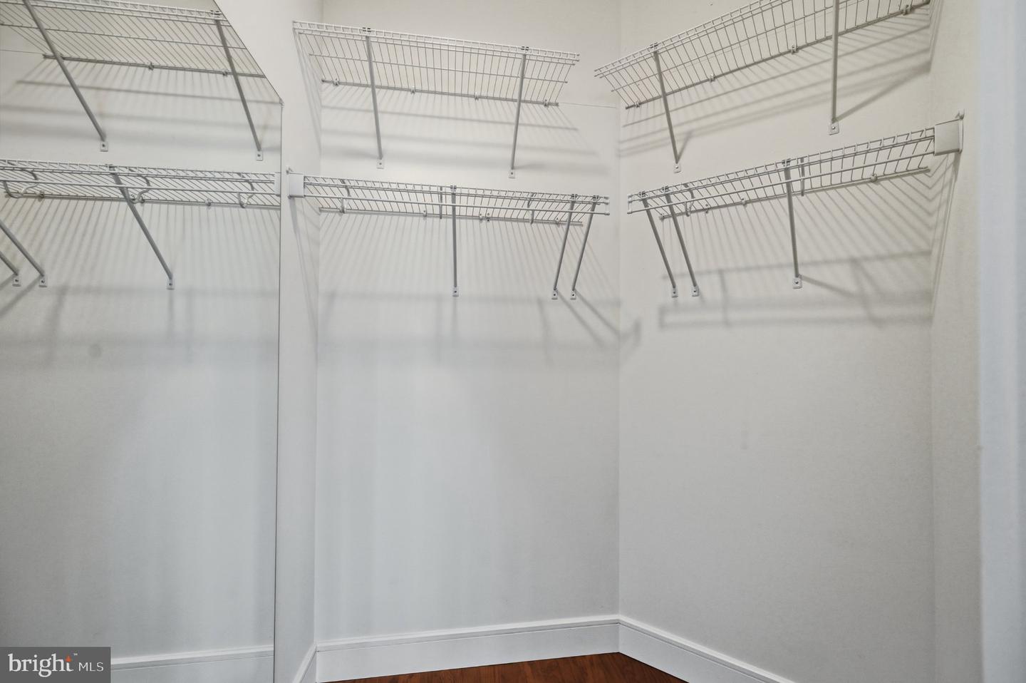 25433 Hartland Orchard Ter Property Photo 62