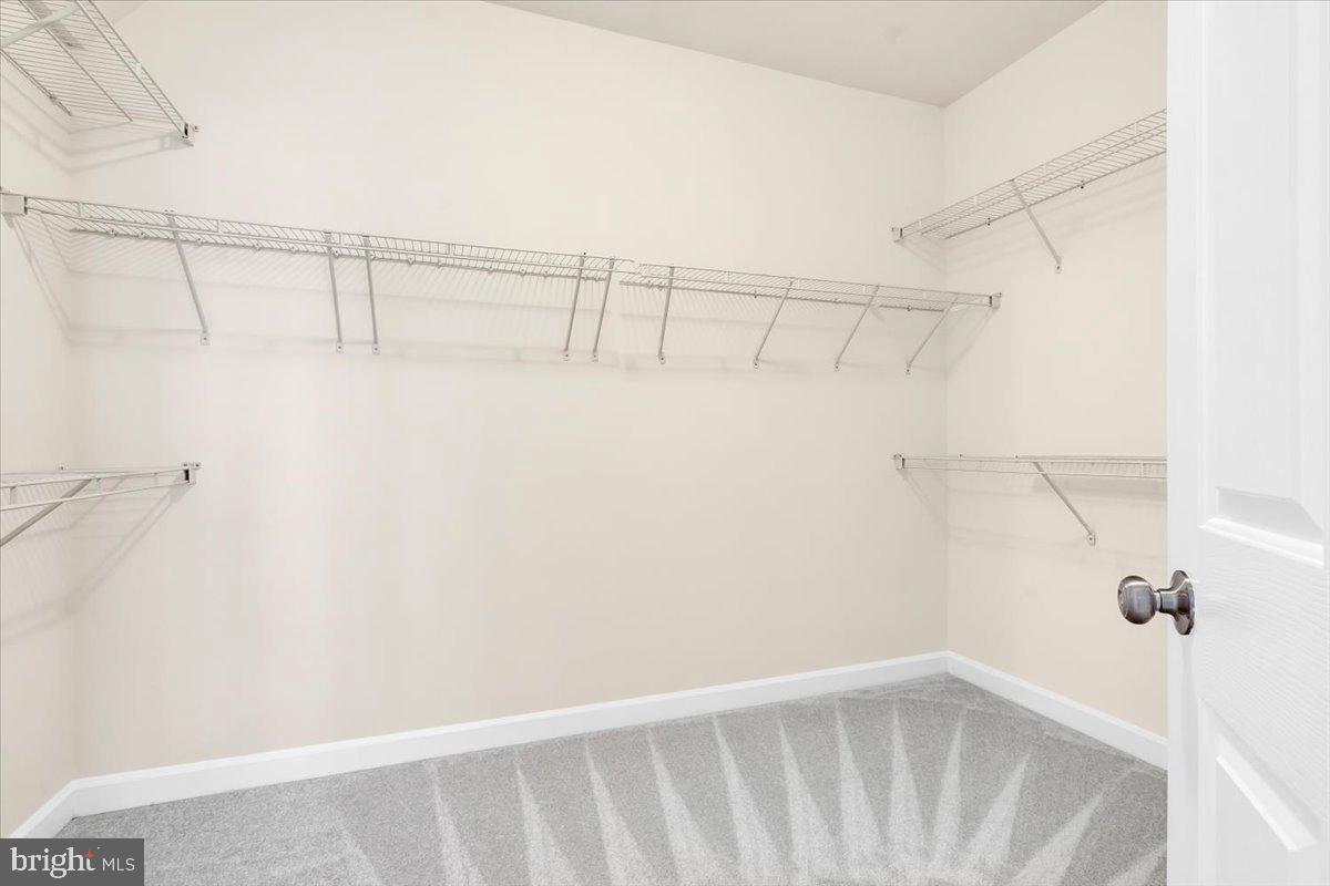 47650 Mid Surrey Sq Property Photo 38