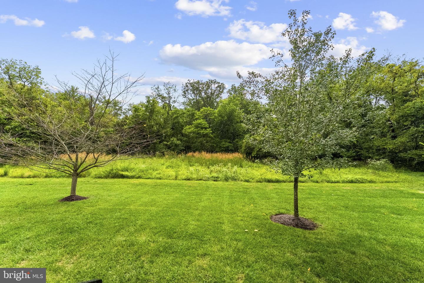 41213 Blue Oat Ct Property Photo 72