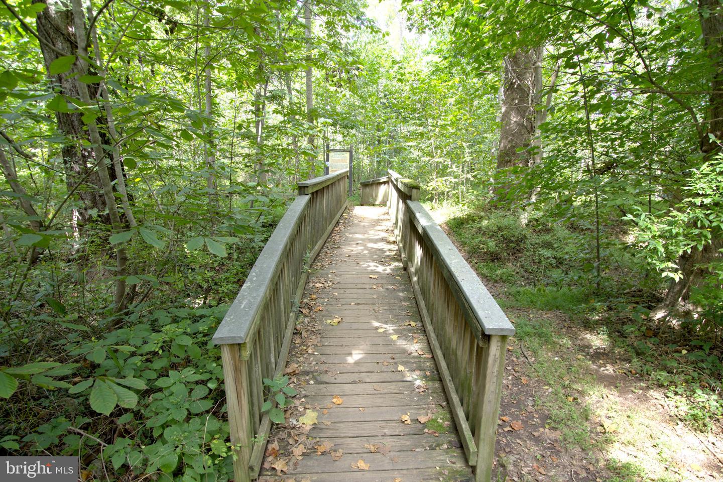 47292 Middle Bluff Pl Property Photo 101